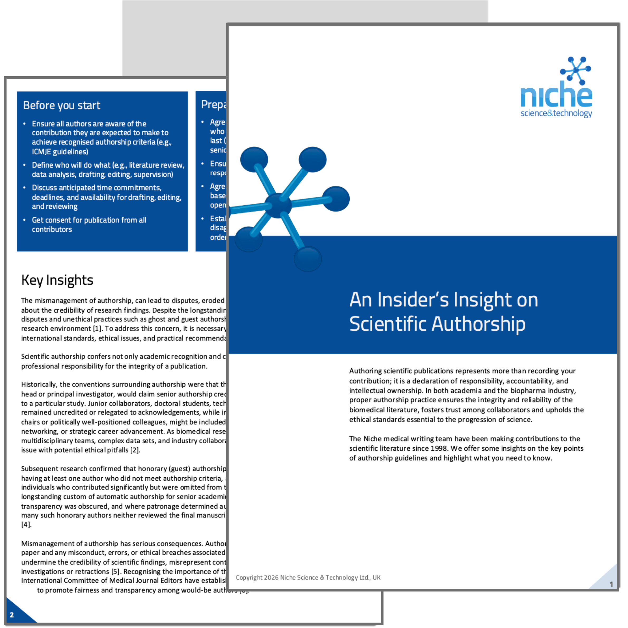 Authorship Insider's Insight Display | Niche
