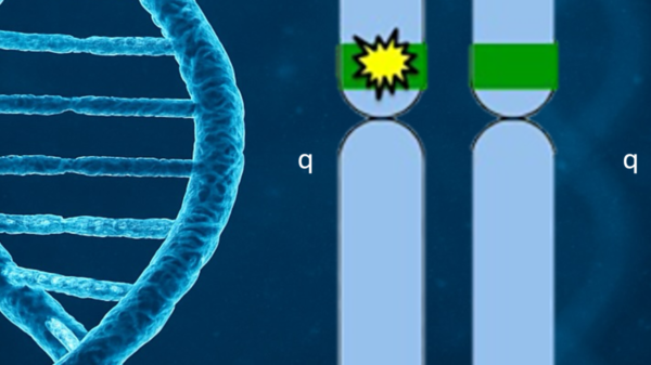 DNA double helix structure alongside two test tubes, one containing green liquid with a molecular symbol, the other with clear liquid.